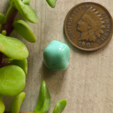 Load image into Gallery viewer, Desert Bloom Freeform Bead
