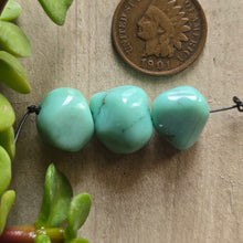 Load image into Gallery viewer, Desert Bloom Beads
